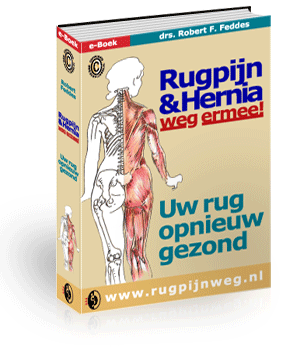 eboek Rugpijnweg.nl